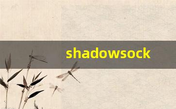 shadowsock加速器下载_shadowrock 安卓客户端